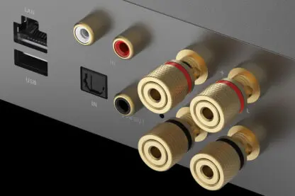 WiiM AMP PRO odtwarzacz sieciowy ze wzmacniaczem - obrazek 5