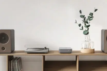 WiiM AMP PRO odtwarzacz sieciowy ze wzmacniaczem - obrazek 8