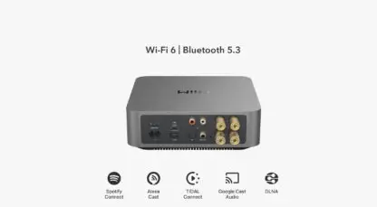 WiiM AMP PRO odtwarzacz sieciowy ze wzmacniaczem - obrazek 6